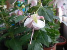 DSCN7772