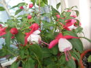 DSCN7840