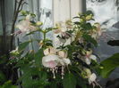 DSCN7851