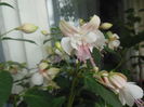 DSCN7858