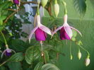 DSCN9904
