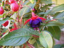 DSCN9915