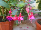 DSCN9916
