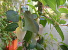 DSCN9919