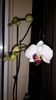 20150108_002107