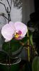 20150223_140238