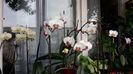 20150223_140259