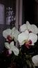 20150223_140405