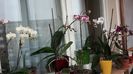 20150305_145606