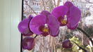 20150319_095358