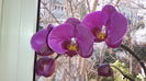 20150319_095401