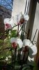 20150319_095430
