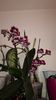 20150319_095452