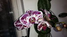 20150319_172900