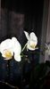 20150319_172946