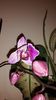 20150320_203003