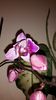 20150320_203008