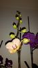 20150325_171502