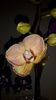20150325_171521