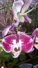 20150326_172030