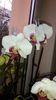 20150326_172124