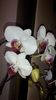20150326_172147