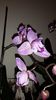 20150326_172217