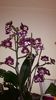 20150326_172252