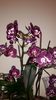 20150326_172301