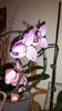 20150326_172317