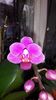 20150327_111504
