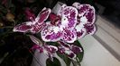 20150327_111551