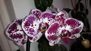20150327_111600