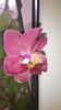 20150414_181939