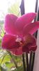 20150414_182251