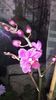 20150414_182553