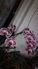 20150414_182629