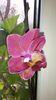 20150420_102837