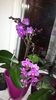 20150426_195439