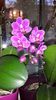 20150426_195447
