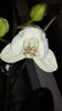 20150428_104533