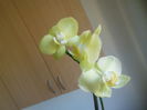 DSCN0303