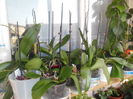 DSCN0306