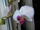 DSCN4425