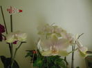 DSCN4631