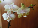 DSCN7119