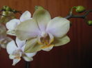 DSCN7122