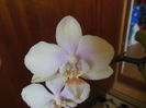 DSCN7123