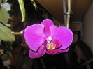 DSCN7621