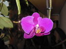 DSCN7622